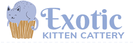 Exotic Kitten Cattery
